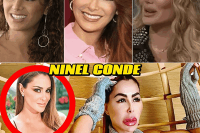 💔 La triste transformación de Ninel Conde: cómo las cirugías están destruyendo su rostro y apagando su brillo
