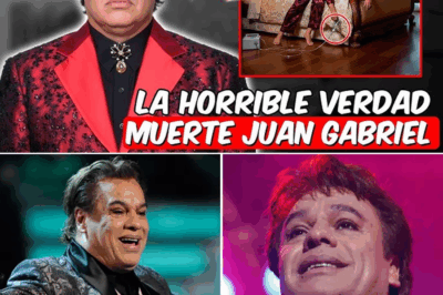 La VERDAD REVELADA del trágico final de Juan Gabriel