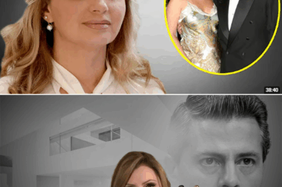 🌹 Artículo: El día que Angélica Rivera decidió hablar