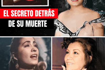 🌹 Artículo: Lola Beltrán — La voz que cantó entre el cielo y la sombra