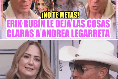 ¡No te metas! Erik Rubín le deja las cosas claras a Andrea Legarreta 😱