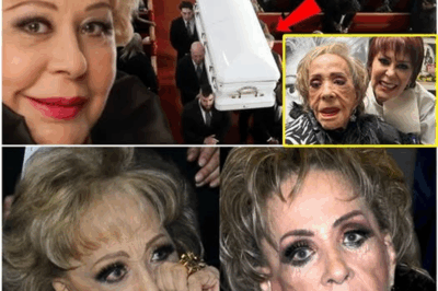 🎬 Silencio, secretos y legado: la verdad oculta de una gran diva