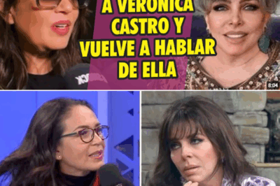 Yolanda Andrade recuperada vuelve a hablar de Verónica Castro y causa sorpresa en México