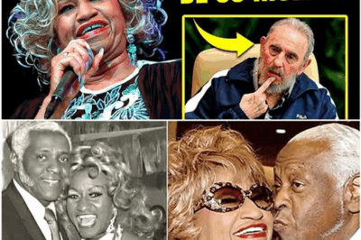 🎤 La verdad jamás contada sobre la muerte de Celia Cruz: la promesa que no pudo cumplir y el secreto que guardó hasta su último aliento