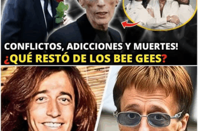 🎵 Artículo: “Bee Gees: la verdad oculta detrás del brillo — los amores, tragedias y pérdidas que marcaron a los hermanos Gibb”