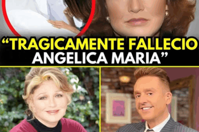 🎭 Artículo: “Angélica María, internada de urgencia: la profecía que asombra a México y preocupa a sus fans”