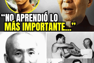 🥋 ANTES DE MORIR, IP MAN ROMPIÓ EL SILENCIO: LA VERDAD OCULTA SOBRE BRUCE LEE FINALMENTE SALE A LA LUZ