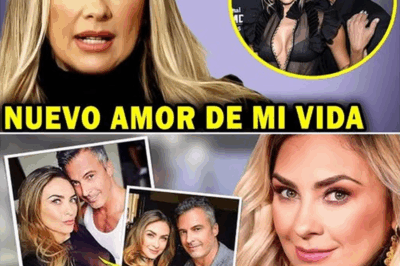 Aracely Arámbula rompe el silencio: la confesión que nadie esperaba