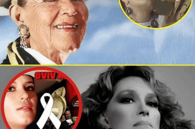 🌹 Lucha Villa rompe el silencio a sus 88 años: la confesión más íntima de la reina de la música ranchera