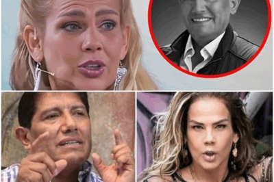 Niurka Marcos: La verdad que nadie imaginó — entre el escándalo, la soledad y la redención