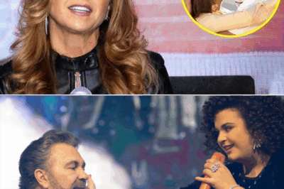 📰 Completamente sorpresivo: Después de 14 años de divorcio, Lucero finalmente ADMITE quién fue el amor de su vida, dejando a México en shock 🔥😱