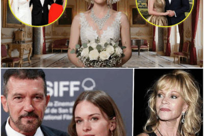 💍 STELLA BANDERAS SORPRENDE A ESPAÑA con los secretos jamás contados de su boda en VALLADOLID: una ceremonia tan íntima como misteriosa, con invitados de Hollywood que dejaron sin aliento a todos. La hija de ANTONIO BANDERAS y MELANIE GRIFFITH eligió un lugar oculto entre viñedos y un vestido que guarda un mensaje secreto bordado en el forro. Nadie esperaba ver a ciertos actores internacionales compartiendo lágrimas, risas y brindis bajo la luna castellana. ¿Por qué eligió España? ¿Y qué promesa hizo frente a su padre? Las revelaciones de esta boda ya son leyenda.