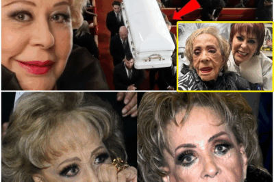 Silencio, secretos y legado: la verdad oculta de una gran diva