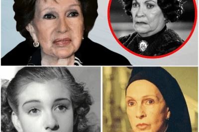 “😱¡IMPACTANTE REVELACIÓN! A los 88 años, Amparo Rivelles rompe el silencio y admite lo que todos sospechábamos — la legendaria actriz confiesa un secreto guardado durante décadas que cambia la historia del cine y la televisión española.”
