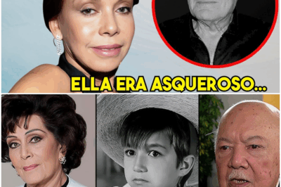 😱 A los 77 años, Meche Carreño rompe el silencio y confiesa lo que calló durante medio siglo… ¡impactante!