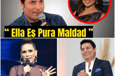 A sus 57 años, Chayanne sorprende con lista de artistas que detesta