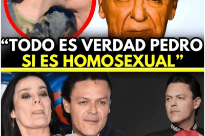 Pedro Fernández rompe el silencio: la verdad más íntima del ídolo ranchero