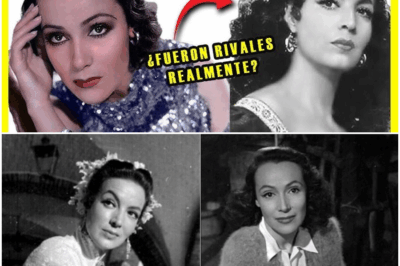 “¡Impactante revelación! María Félix y Dolores del Río, las dos divas eternas del cine mexicano, enfrentadas por la fama, el amor y el poder: la verdad nunca contada detrás de su supuesta rivalidad que dividió a toda una generación”