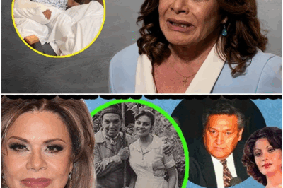 ¡MARÍA SORTÉ HABLA AL FIN! A sus 70 años, la actriz y cantante mexicana rompe el silencio y admite lo que durante décadas todos sospechaban. Entre lágrimas, serenidad y valentía, confiesa verdades sobre su vida, su carrera y sus heridas más profundas. ¡Una revelación que conmueve al público, sacude al medio artístico y demuestra que la verdadera fortaleza nace del alma y no del aplauso!