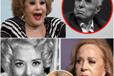 Antes de morir, Silvia Pinal reveló los nombres que más detestaba