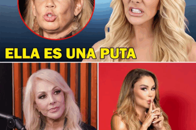 Olivia Collins: la confesión más inesperada de sus 67 años