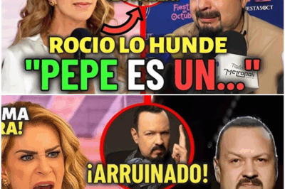 “🚨 ¡Inesperado y explosivo! Rocío Sánchez Azuara rompe el silencio y lanza duras declaraciones contra Pepe Aguilar, revelando un secreto que el público jamás imaginó: la historia oculta detrás del artista más poderoso del regional mexicano que podría cambiar para siempre su imagen ante los fans.”