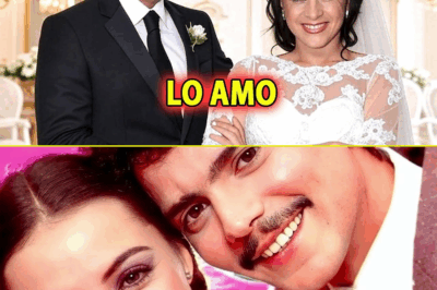 A sus 65 años, Alma Delfina rompe su silencio sobre el verdadero amor de su vida — la confesión más íntima de una mujer que vivió entre luces y secretos