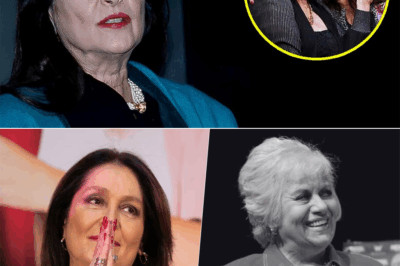 🎤 Artículo: “A sus 66 años, Daniela Romo rompió el silencio y admitió que él fue el amor de su vida”