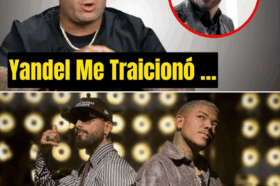 Wisin rompe su silencio a los 46 años y el mundo queda conmocionado: la historia detrás de su revelación más inesperada