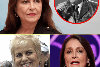 🎤 Artículo: “A los 66 años, Daniela Romo finalmente admite lo que todos sospechábamos”
