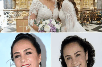 La confesión inesperada de Alma Delfina: a sus 64 años habla de su romance secreto y del paso definitivo que nunca se atrevió a considerar