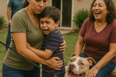 Cuando mi hijo de cinco años empezó a llorar de miedo por el pit bull de mi suegra y ella se echó a reír, entendí que había llegado la hora de poner límites muy claros