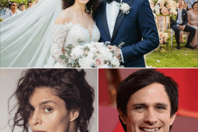 Gael García Bernal rompe el silencio: la historia completa detrás de la persona que aceptó su inesperada propuesta