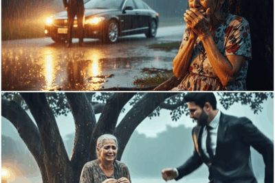 “Un joven empresario regresó de sorpresa después de años de vivir en el extranjero. Pero lo que encontró al llegar a su antigua casa lo dejó sin aliento: su madre, empapada por la lluvia, sola y abandonada frente al portón de la mansión que él había comprado para ella. Nadie imaginaba la verdad detrás de aquella escena ni el giro final que conmovería a toda la ciudad.”