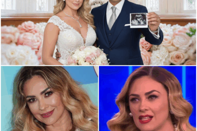 “En un giro que nadie vio venir, Aracely Arámbula rompe el silencio con un ‘hemos vuelto’ que sacude por completo al mundo del espectáculo: revela detalles ocultos, decisiones inesperadas y sorprendentes avances sobre lo que sería su boda con Luis Miguel, desatando una ola de preguntas sobre lo que ocurrió entre ambos lejos de los reflectores.”