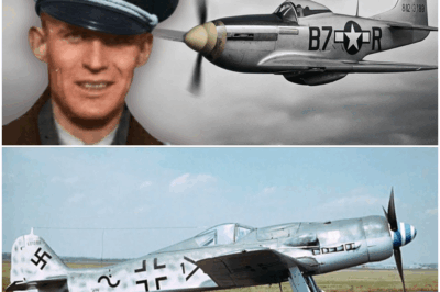 “El Informe Secreto del Piloto Alemán que Solo Tuvo Sesenta Minutos para Descifrar el Misterio del P-51 Mustang: La Prueba de Noviembre de 1944 que Reveló por Qué el Caza Estadounidense Era Imparable y Desató Temores, Sospechas y Conclusiones que Permanecieron Ocultas Durante Décadas”