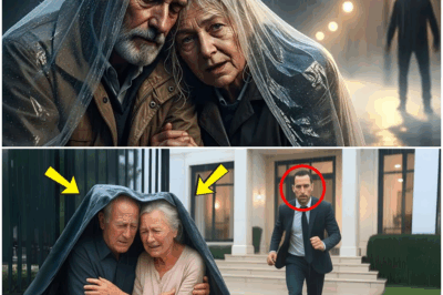 “Regresó como un millonario imparable después de años lejos de casa, creyendo que ofrecería a sus padres la vida que siempre soñaron… pero cuando los encontró bajo la lluvia, empapados, temblando y sosteniendo un viejo cartel, descubrió la verdad más cruel, inesperada y conmovedora que jamás imaginó, una que transformó su destino para siempre”