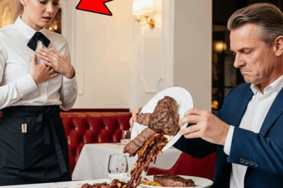 “La Camarera que Creyó que Nadie Prestaba Atención a Su Turno Más Difícil: El Misterioso Cliente que la Observaba en Silencio, el Secreto que Ocultaba Su Verdadera Identidad y el Increíble Giro que Transformó Su Vida en Cuestión de Horas con una Revelación Tan Sorprendente que Ni Ella Ni el Restaurante Volvieron a Ser los Mismos”