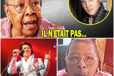 “Ultima Hora: La Ex Empleada del “Palacio del Rey” rompe su silencio final sobre Elvis Presley — Revelaciones escalofriantes que nadie esperaba salen a la luz antes de su muerte”
