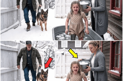 “Cuando un veterano de guerra regresa con su perro K9 creyendo que finalmente encontrará paz en su propio hogar, descubre algo aterrador: su hija discapacitada ha sido sometida en secreto a la crueldad silenciosa de una madrastra que esconde una oscuridad inimaginable, desatando una noche de revelaciones brutales, valentía inesperada y una lucha feroz por recuperar lo que nunca debió perder.”