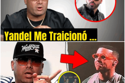 “¡Inesperado! A sus 46 años, Wisin rompe el silencio y deja al mundo CONMOCIONADO con revelaciones que estremecen su vida y trayectoria”