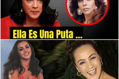 “¡Nadie lo esperaba! A sus 65 años, Alma Delfina rompe su silencio y revela los nombres de cinco personas que marcaron su vida con traiciones, desencuentros y lecciones que jamás olvidará — su confesión más honesta y emocional ha sacudido al mundo del espectáculo latino”