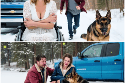 “Un padre soltero y su perro detienen una boda en caos para salvar a una novia en silla de ruedas que todos daban por vencida — sin imaginar que aquella mujer, envuelta en secretos y un pasado imposible de adivinar, es una multimillonaria oculta cuyo agradecimiento transformará sus vidas de un modo tan sorprendente que ni el destino pudo prever.”