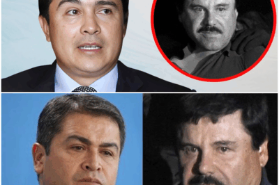 “¡El rumor que sacudió al mundo del entretenimiento estalló hace apenas unas horas! A sus 47 años, según versiones difundidas por varios portales, Tony Hernández habría dejado entrever una confesión que muchos interpretaban como lo que el público llevaba años sospechando, desatando un torbellino de teorías, emociones y un misterio que nadie logra descifrar del todo.”