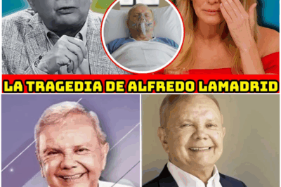¡IMPACTO TOTAL EN EL MUNDO DEL ENTRETENIMIENTO! En esta historia completamente ficticia, una versión dramatizada de Alfredo Lamadrid, a sus 82 años, sorprende a su familia al revelar la existencia de una fortuna cuidadosamente guardada durante décadas. Lo que descubrieron en su testamento simbólico, las decisiones inesperadas que tomó y las lágrimas que provocó su emotiva revelación dejaron a todos sin palabras… ¡Una verdad que sacude el corazón!