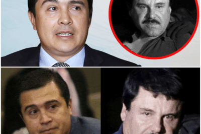 “A Sus 47 Años, Tony Hernández Sorprende al Mundo del Espectáculo al Admitir por Primera Vez Aquello Que Durante Décadas Había Callado y Que Muchos Sospechaban: Una Confesión Emocional, Dolorosa y Llena de Verdades Ocultas Que Cambia la Narrativa de Su Carrera y Revela el Lado Más Humano del Artista”