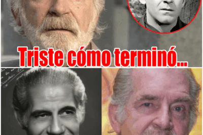“La vida trágica del legendario actor Fernando Luzán finalmente sale a la luz: décadas de secretos, sacrificios silenciosos y una ruptura inesperada con la poderosa familia Solerón revelan un pasado tan oscuro como conmovedor, y un final tan triste que dejó al público y a toda la industria sin palabras”