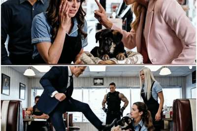 “¡Estalla el escándalo inesperado! Una pareja adinerada, cegada por su arrogancia, humilló a una camarera que intentaba proteger a un cachorro enfermo sin imaginar que un ex Navy SEAL observaba cada gesto desde la distancia, desencadenando una cadena de tensiones, silencios peligrosos y un giro final que nadie vio venir.”