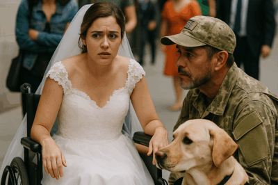 “Un veterano de guerra y su perro de servicio salvaron a una mujer en silla de ruedas que había sufrido un accidente el día de su boda. Lo que no sabían era que aquella novia era una multimillonaria heredera desaparecida. Días después, ella los buscó para agradecerles y lo que hizo por ellos dejó a todo el país en shock: una revelación que cambiaría sus vidas y demostraría que los milagros existen donde menos se esperan.”