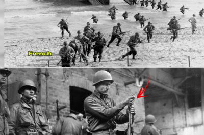 Por qué los mandos alemanes aprendieron a temer a los Rangers estadounidenses como sombras silenciosas en la noche, mientras se burlaban de los GIs comunes llamándolos “aficionados” que podían romperse pero nunca subestimarse del todo